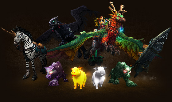 You get An EPIC mount or pet