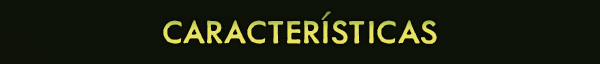CARACTERÍSTICAS