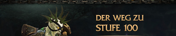 DER WEG ZU STUFE 100<br /><br />
