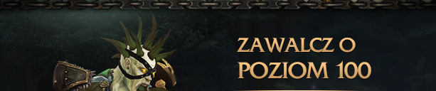 ZAWALCZ O POZIOM 100<br /><br />